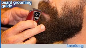 What form of grooming facial hair styles to choose if you have a square face? Beard Grooming Guide All About Beards