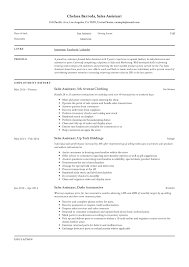 Sales Assistant Resume Writing Guide Resumeviking Com