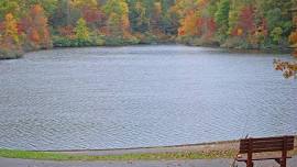 Group Hike: Bark Camp Lake