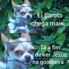 Este apartamento é utilizado para hospedar os nossos clientes que vem para a prática de reconhecimento da. Memes Para Brasileiros Do Brasil Memesdobrasil Twitter