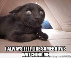 I Always Feel Like Somebody S Watching Me Paranoid Cat Meme Generator