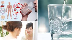 March 13, 2020 march 13, 2020 by upstream brewing team. 8 Health Benefits Of Drinking Warm Water In The Morning Tallypress