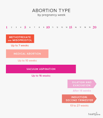 Fertility After Abortion Does Abortion Affect Fertility