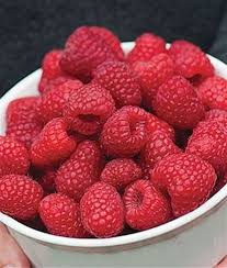 I Pinimg Com 474x Dd 21 47 Dd2147fe832d562142bc