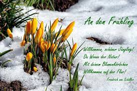 Johannes habermehl 14 mär 4 min wann kommt endlich der frühling mit sonnenschein und wärme nach deutschland? Wann Kommt Endlich Der Fruhling Gelber Krokus Bluht Im Zeitigen Fruhling Auch Im Schnee Bilder Und Grusskarten Https W Fruhling Bilder Fruhling Zitate Natur