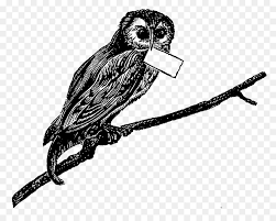 Secara keseluruhan burung hantu ini berwarna pucat dan matanya berwarna gelap. Burung Burung Hantu Burung Pemangsa Gambar Png