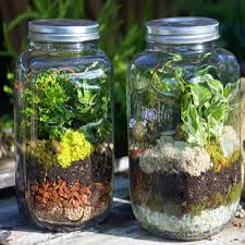 Make Your Own Terrarium How To Make Terrariums Terrarium Mason Jar Terrarium