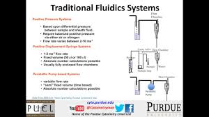 Transcripts Of Selected Flow Cytometry Webinars Thermo