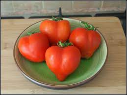 Gardening should be fun, but sometimes it get's frustrating when you start to see tomato leaf problems. Mark S Veg Plot Tomatoes A Harvest At Last