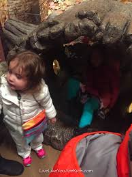 Benefits and ways to tell. Free Activities For Kids In Utah In The Winter Live Like You Are Rich