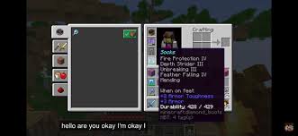 One of the most unique additions to minecraft over the years has been the ability to use name tags. Iskall Names His Boots Socks Hermitcraft