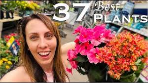 37 Must-Grow Plants for your Flower Garden