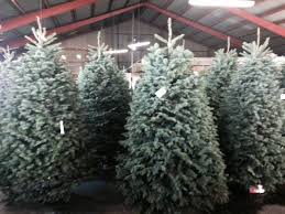 Uncover why christmas tree shops is the best company for you. The Christmas Tree Shop Home Facebook