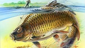 Fishing hook merupakan game memancing ikan offline yang hadir dengan grafis yang sangat tidak seperti game sebelumnya, fishing diary disuguhkan dengan grafis yang tampak seperti di kartun. Gambar Ikan Mas Besar Lengkap Dan Unik