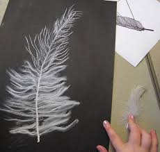Feather Drawings Feather Drawing School Art Projects Art Lessons Elementary