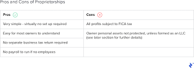 C Corp Vs S Corp Partnership Proprietorship And Llc Toptal