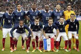 Flagwigs France Soccer Football Team Road To Brazil Group E Fifa World Cup Teams World Cup Soccer