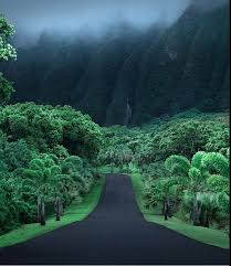 Pin Von Michi Auf On The Road Reise Hawaii Schone Orte Oahu