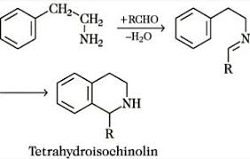 Lambertianic acid is a bioactive natural product extracted from diverse species such as thuja orientalis and pinus lambertiana dougl (1966t679, 2012ii250). Pictet Spengler Synthese Lexikon Der Chemie
