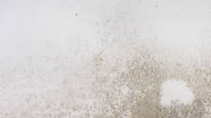 For unfinished surfaces, skip to the steps below to remove mold from drywall. How To Remove Mold On Drywall This Old House
