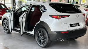Image result for Arctic White 2024 MX-30