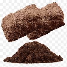 Too shallow a depth won't control the weeds or help the soil retain moisture. Mulch Soil Straw Plant Pine Pine Needles Png Pngegg