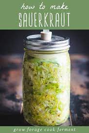 How To Make Sauerkraut Traditionally Fermented Cabbage Recipe In 2021 Homemade Sauerkraut Sauerkraut Fermented Cabbage
