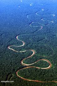 Aproveite nossas ofertas para comprar produtos online, com ótimos preços. Amazon Rainforest Floresta Amazonica Amazonas Brasil Floresta Amazonica