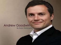 Andrew goodwin- audience theory