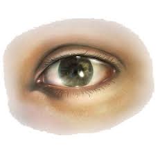Eye Png Image Scary Eyes Cartoon Girl Eyes Creepy Eyes