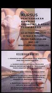 Nah ada loh kursus ternak kambing di thaun 2019 ini yang sangat di rekomendasi yaitu di pelatihan peternakan farm 78 di jogja. Kursus Penternakan Kambing Pedaging Asas Perniagaan 2019 Bermula Di Brunei Tahun Ni Yeahh 12 14 Februari 2019 Bnd 120 Sesiapa Berminat Boleh Terus Masuk Ke Whatsapp Group Kursus Penternakan Kambing Pedaging