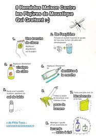 8 Remedes Maison Contre Les Piqures De Moustiques Qui Grattent Piqure De Moustique Remede Contre Piqure De Moustique Moustique