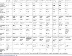 Image result for Englerodendron mengei