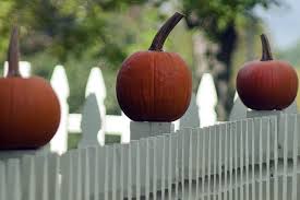 As such, they should not be planted in the ground until the soil is warm enough and the risk of frost has ended. How To Grow Pumpkins For Halloween This Year Install It Direct