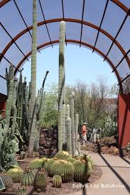 I have driven across this desert a few times. How To Care For Succulents 5 Steps Garden Design