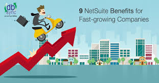 The following gif image shows how to configure a plan 9 Netsuite Benefits For Fast Growing Companies