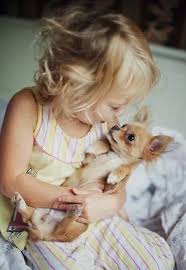 Sign In Animals Animals Friends Cute Puppies