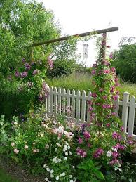 A Gauche Veilchenblau Et A Droite Perennial Blue Notre Jardin Secret Jardins Cloture Jardin