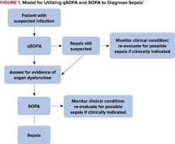 Image result for qSOFA Score