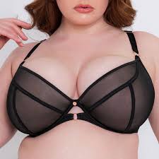 Scantilly by Curvy Kate Exposed UW Plunge Bra Black | Lumingerie bras and  underwear for big busts