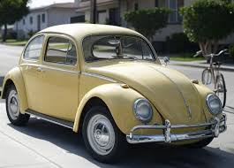 Image result for Ivory 1950 Beetle