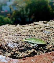 Landscape Landscape