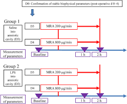 Image result for Ritodrine