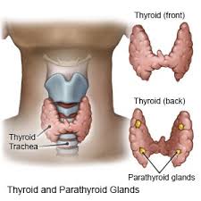 Indeterminate status of nodal disease. Thyroid Cancer What You Need To Know