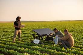 Image result for Agricultural Yellow 2000 Fleet