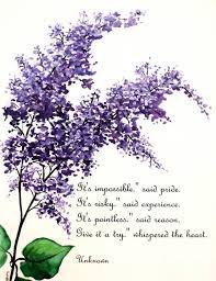 Lilac Poem By Karin Dawn Best Lilac Painting Lilac Tattoo Lilac Flowers
