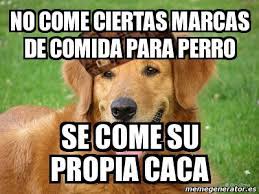 Meme Personalizado No Come Ciertas Marcas De Comida Para Perro Se Come Su Propia Caca 2306057