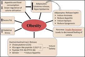 Maybe you would like to learn more about one of these? Natural Anti Obesity Agents And Their Therapeutic Role In Management Of Obesity A Future Trend Perspective Sciencedirect