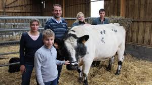 Le salon se réinvente et donne rendez vous à l'ensemble des acteurs du monde agricole au printemps 2021 pour participer à la semaine de l'agriculture française. Imminence La Vache Avesnoise Starlette Du Prochain Salon De L Agriculture