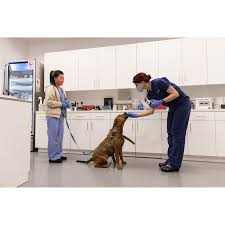 Va community care contact center: Aspca Opens Community Veterinary Center In Brooklyn To Improve Access To Veterinary Care For Underserved Pet Owners
